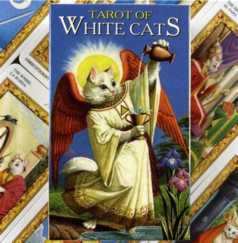 Tarot Gatos Blancos Tarot Gatito White Cat Cartas Mercado Libre