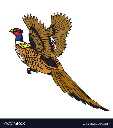 Pheasant Royalty Free Vector Image - VectorStock