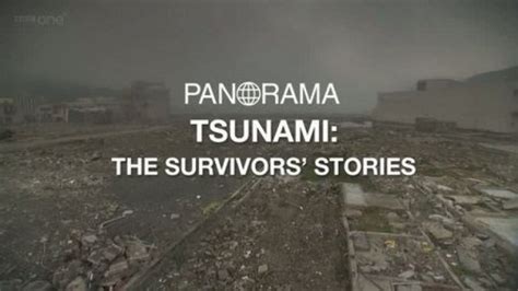 Japan Tsunami: The Survivors Stories | Documentary Heaven