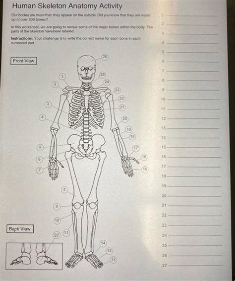 Free Skeleton Bones Worksheet Download Free Skeleton Bones Worksheet