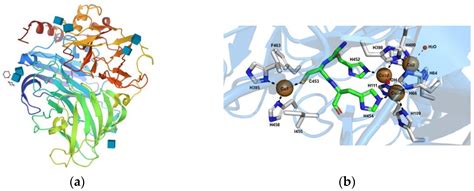 Biological Treatment Of Pharmaceutical Based Contaminants With