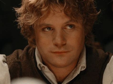 Samwise Gamgee | Lord of the rings, Samwise gamgee, Lotr