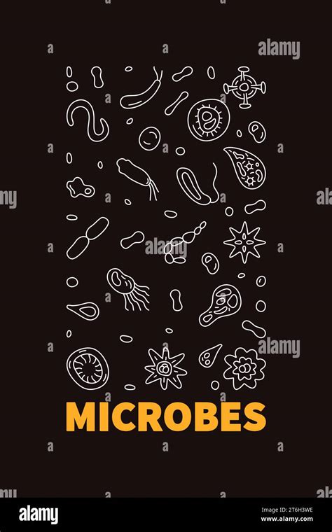 Microbes Vector Micro Biology Concept Outline Dark Vertical Banner Or