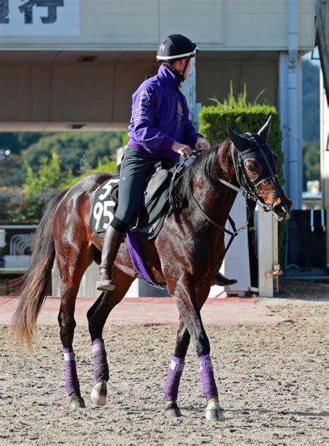 【pog】良血スタニングスター 母似で大跳び G1・6勝スタセリタの娘競馬・レースデイリースポーツ Online