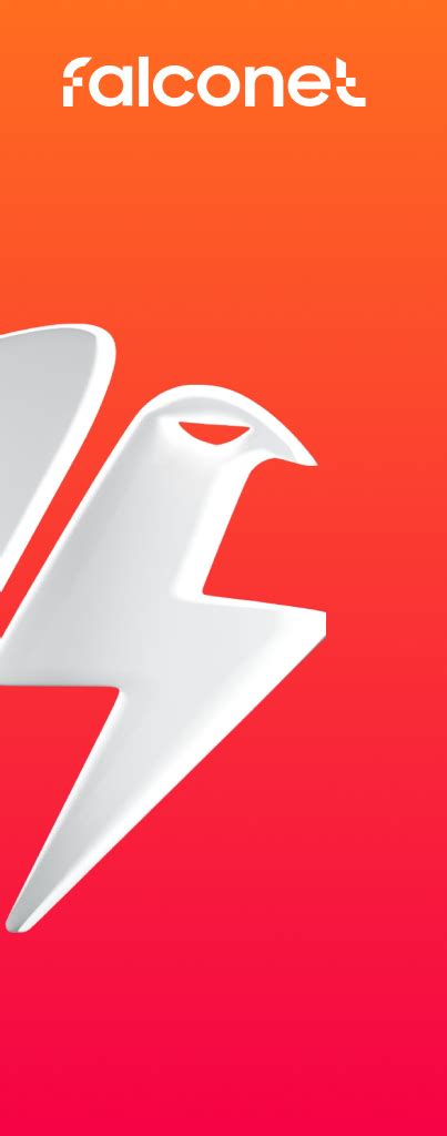 falconet  leading software development company