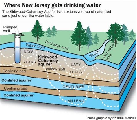 Kirkwood Cohansey Aquifers Health Critical To Pinelands Ecosystems