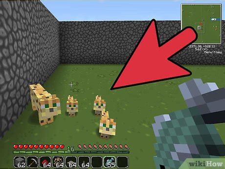 Einen Ozelot In Minecraft Z Hmen Wikihow