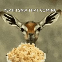 Popcorn Eating Popcorn GIF - Popcorn Eating Popcorn Movie Time - Discover & Share GIFs