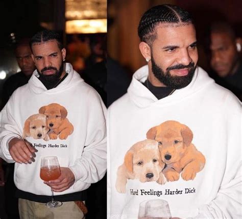 Drake Hard Feelings Harder Dick Hoodie - Inspireclion.com