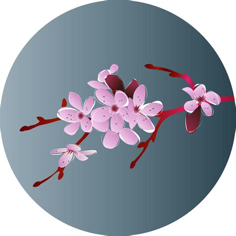 Download Cherry Blossom, Japan, Sakura. Royalty-Free Vector Graphic ...