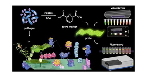 A Dual Mode Fluorescent Nanoprobe For The Detection And Visual Screening Of Pathogenic Bacterial