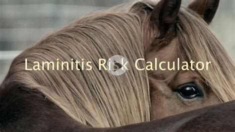 Laminitis Risk Update — Enlightened Equine