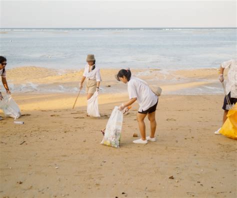 Les nettoyages des plages comment faire la différence