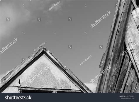 Different Textures Contrast Black White Edit Stock Photo 1615590433 ...