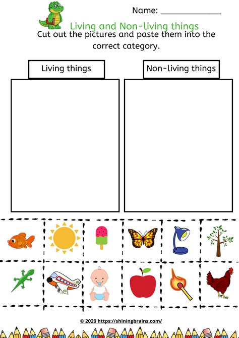 Living Vs Nonliving Worksheet Kindergarten