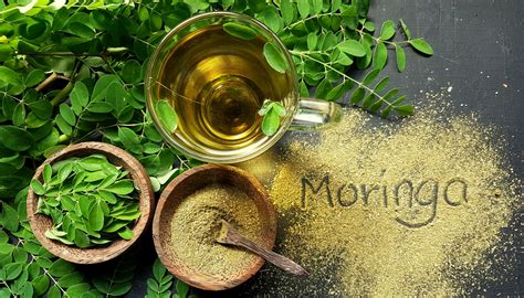 Como Fazer O Chá Da Moringa - Pouco conhecido, chá de moringa diminui a fome: aprenda a fazer para ...