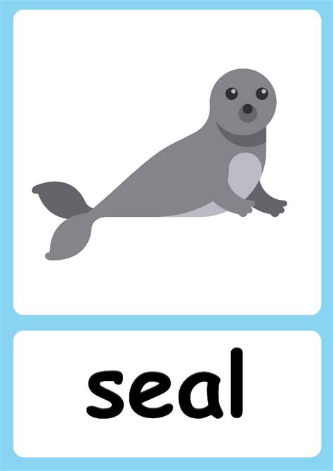 Sea Animal flashcards + FREE Sea Animals Poster!