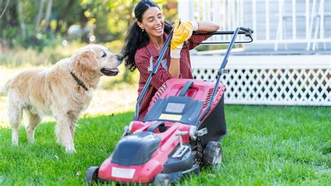 Of The Best Battery Powered Lawn Mowers Based On Reviews