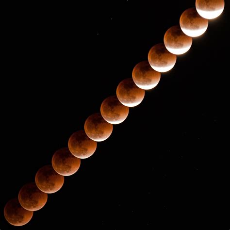 2,000+ Free Lunar Eclipse & Eclipse Images - Pixabay