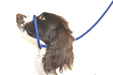 Dog And Field Figure 8 Anti Pull Lead Halter Head Collar Blue One