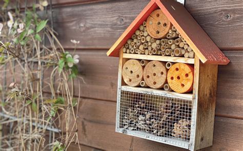 Diy Insectenhotel Maken It Fryske Gea