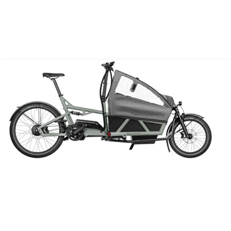 Custom Riese Müller Load4 60 Vario Urbane Cyclist