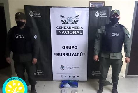 Tucumán Noticias Agencia de Noticias Detectan cocaína y marihuana