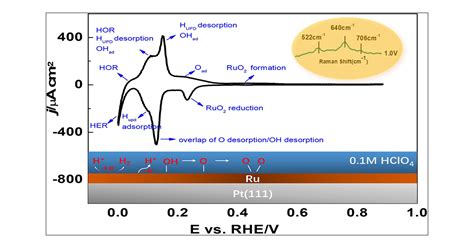 The Surface Processes On Rupt111 As Probed By Cyclic Voltammetry And In Situ Surface Enhanced