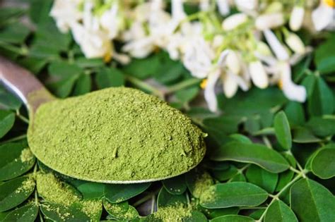 सहजन या मोरिंगा पाउडर के फायदे और नुकसान Sahjan Moringa Powder Ke Fayde Aur Nuksan In Hindi