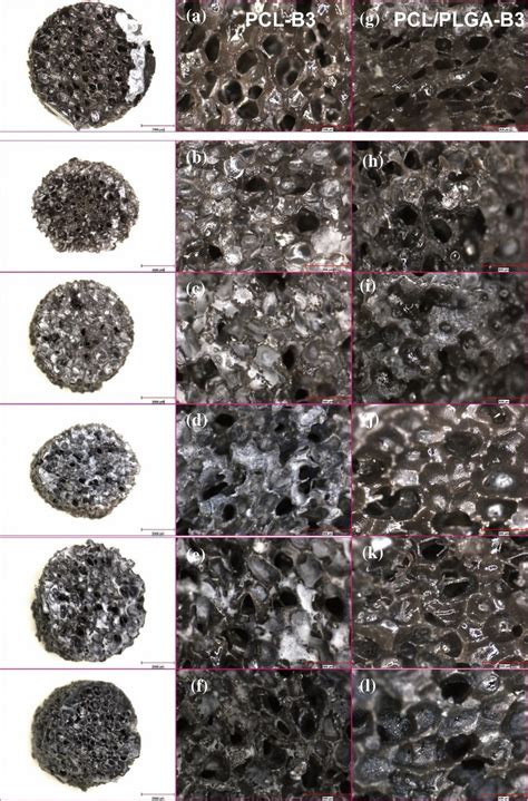 Optical microscope images (scale bar: 900 μm) of the prepared PCL or ...