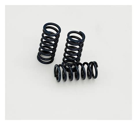 Graves Works Clutch Spring Kit Kawasaki Ninja Zx Rr Revzilla