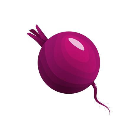 Premium Vector Beetroot On A White Background Vector Illustration