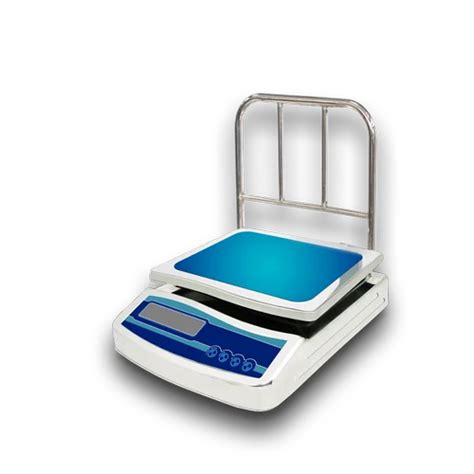 Stainless Steel BBG Digital Platform Weighing Scale Size 260 Mm X 320