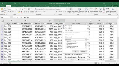 Excel 1 Basique Cours Filtrer les données YouTube