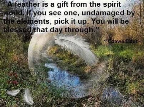 A Feather Is A Gift From The Spirit World If You See One Unaanaged By