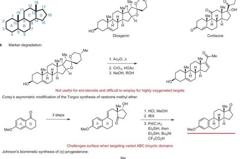 Streamlined Process Opens Drug Development To A New Class Of Steroids