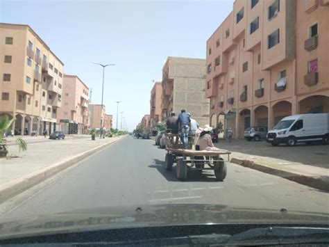 العربات المجرورة بالدواب الكاروات تعرقل السير وتهدد حياة المواطنين