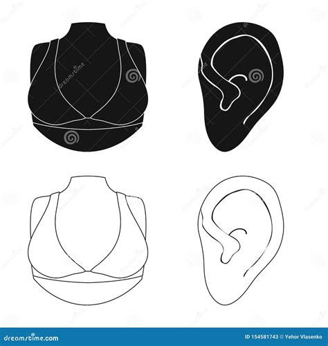 Vector Design Of Body And Part Sign Collection Of Body And Anatomy