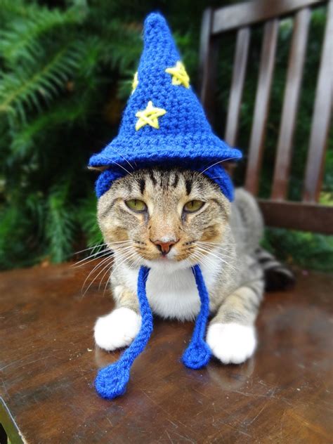 Wizard Cat Hat Wizard Cat Costume The Wizard by iheartneedlework