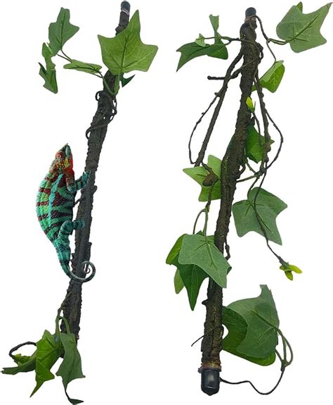 Amazon Reptile Climbing Branch Flexible Bend A Branch Jungle Vines