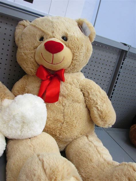 Another Cute Valentine Teddy Bear Found In Walmart For 27 Teddy