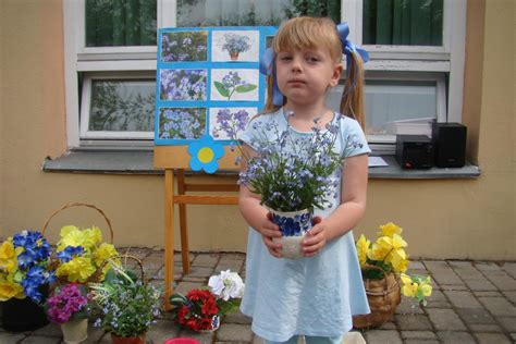 Niezapominajka To Symbol Niezapominajka To Znak Czyste Powietrze