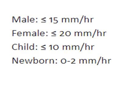 Hematology Flashcards Quizlet