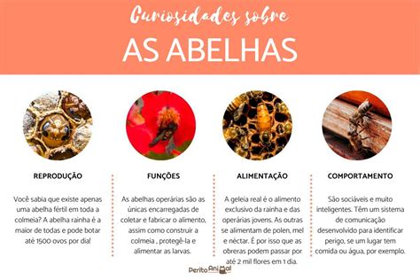 15 Curiosidades Surpreendentes Sobre As Abelhas