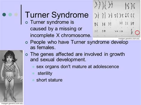 Unit Genetics Learning Goal Examine Problems That Arise From