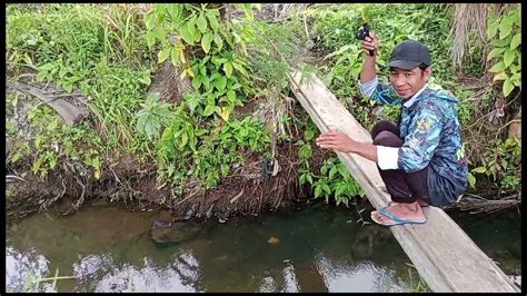 BIKIN KAGET MANCING NILA DI SELOKAN PINGGIR JALAN ADA NILA BABON NYA