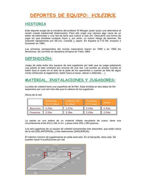 Apuntes Voleibol 4º ESO