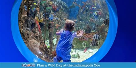 The Indianapolis Zoo | Plan a Wild Day at This Essential Indy Attraction - Indy with Kids