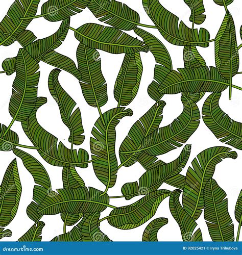 Vector Seamless Pattern With Tropical Banana Leaves Stock Vector Illustration Of Seamless