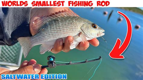 WORLD S SMALLEST FISHING ROD Saltwater Edition 2023 YouTube